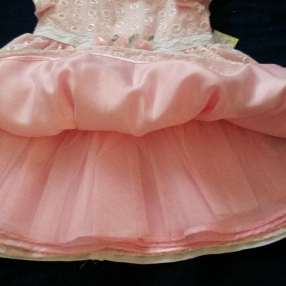 SWEET HEART ROSE DRESS - Picture 5 of 8